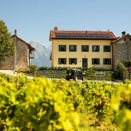 B&B Le Zucche Belluno Exteriér fotografie