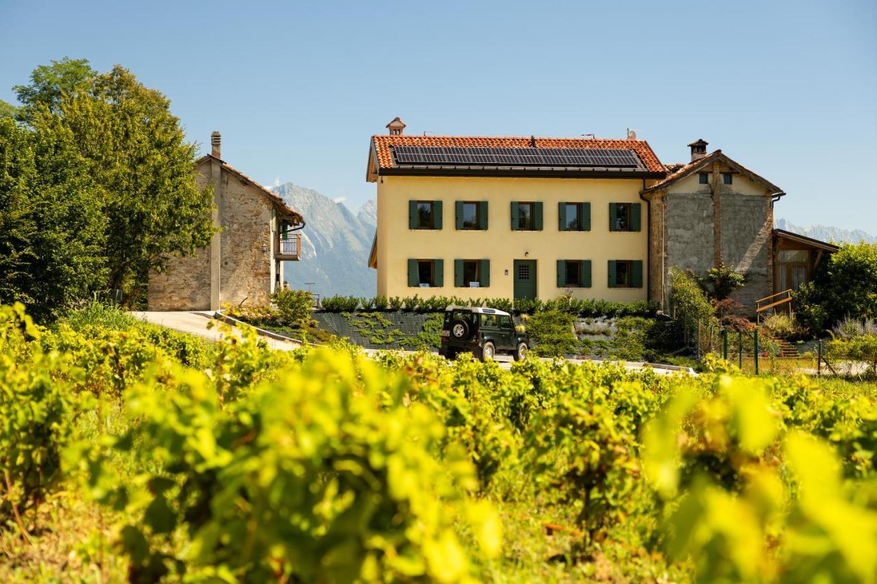 B&B Le Zucche Belluno Exteriér fotografie